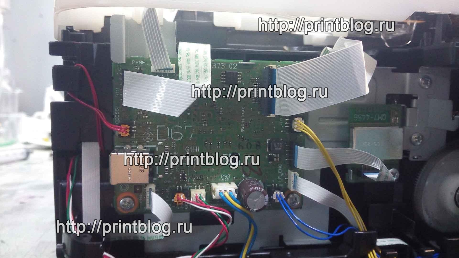 Canon Pixma MG3640 сброс ошибки 5B02