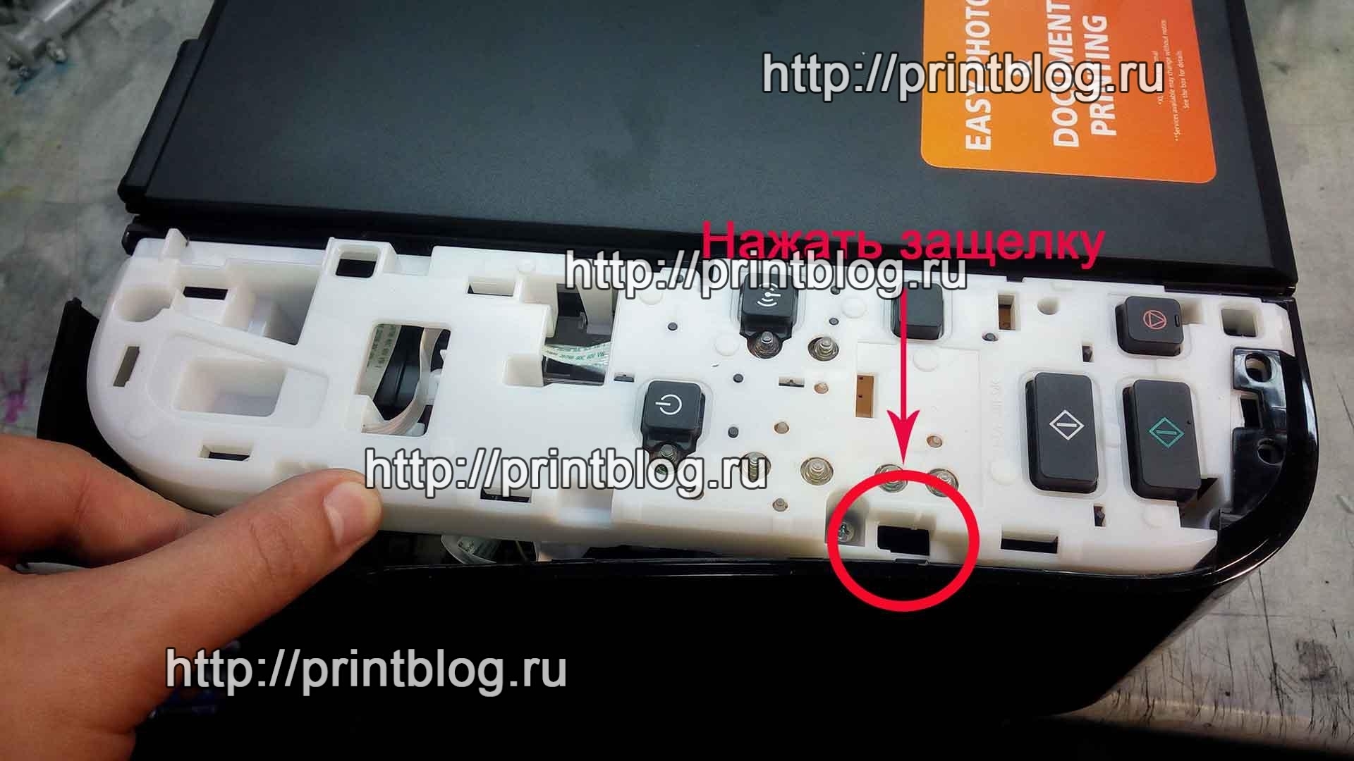 Canon Pixma MG3640 сброс ошибки 5B02