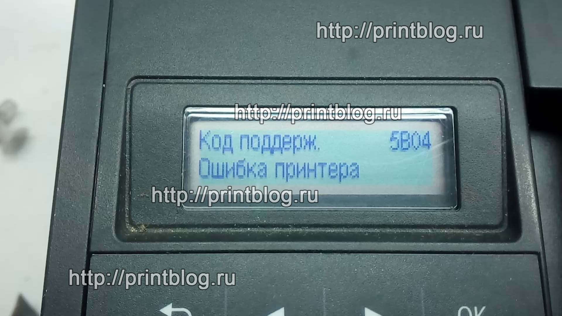 Canon PIXMA MX494 сброс ошибки 5B04. Сброс памперса.