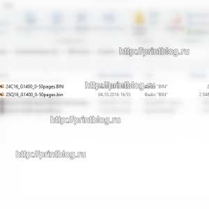 Canon G1400 дампы микросхем 25Q16 и 24C16 для сброса ошибки памперса (5B00)