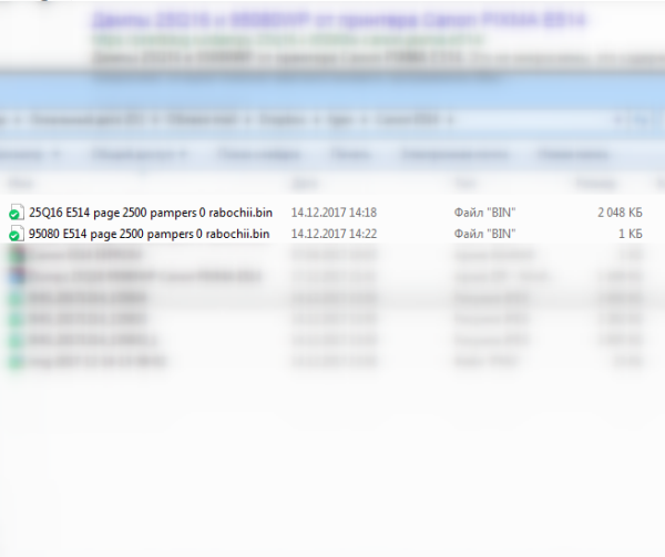 Дампы 25Q16 и 95080WP от принтера Canon PIXMA E514